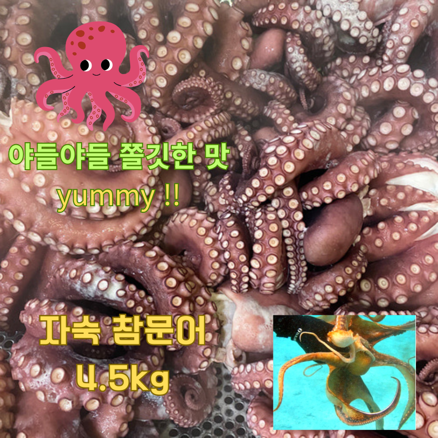 [서해안 참문어] 자숙 참문어 4.5kg /청정바다 문어 /산지직송, 2개, 4.5kg 378,000원