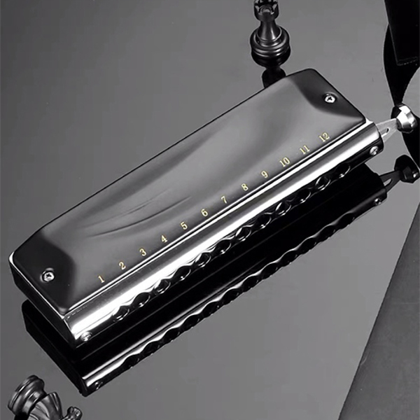 JDR 크로매틱 하모니카 C 키 12 홀 48 톤 크로매틱 마우스 오르간 하프 키 전문 아모니카 음악 악기 GM0648 132,800원