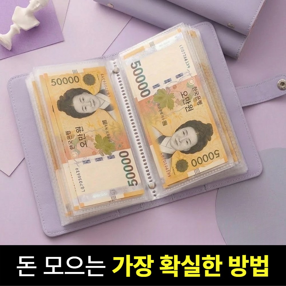 브로미 현금 바인더 저축 다이어리 지폐, 1개, 퍼플 10,000원