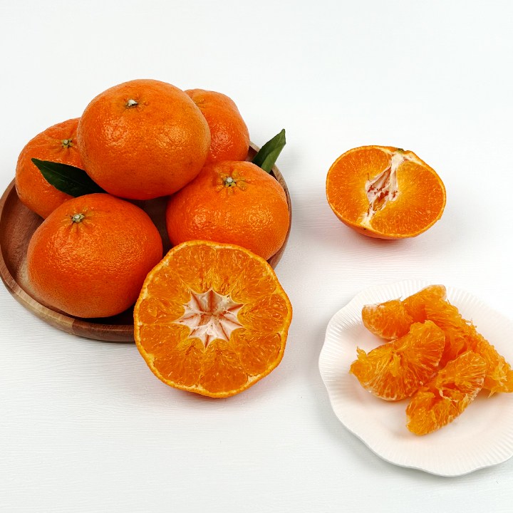 [산지직송]제주 레드향 가정용,  당도 좋은 겨울 감귤 41,000원