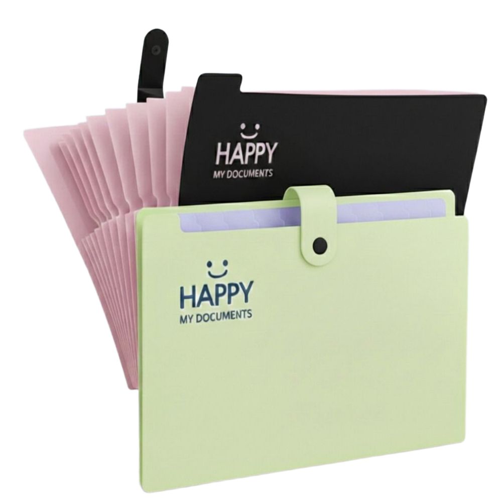 배로나 편리한 똑딱이 파일케이스 수납력 최고 12칸, 2개, 그린블랙 9,950원