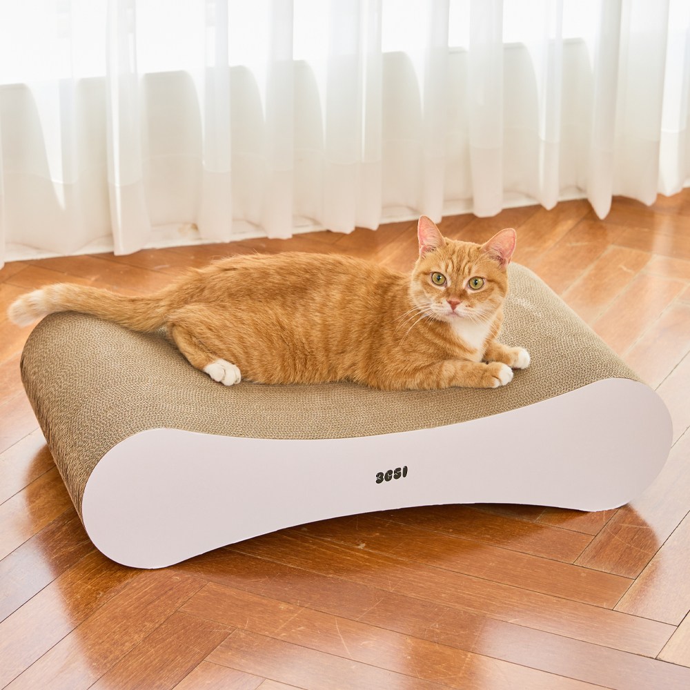 3651 벅벅 보드 초고밀도 고양이 스크래쳐, 1개, 화이트 33,900원