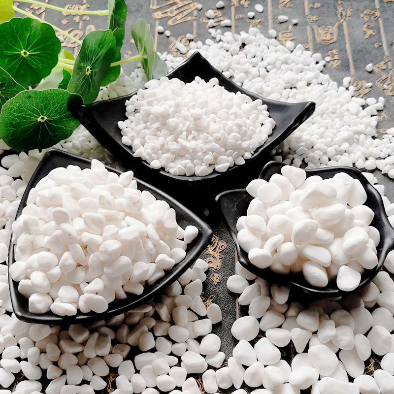 조경자갈 해미석 원예용품 20kg 장식돌 콩자갈 31,100원