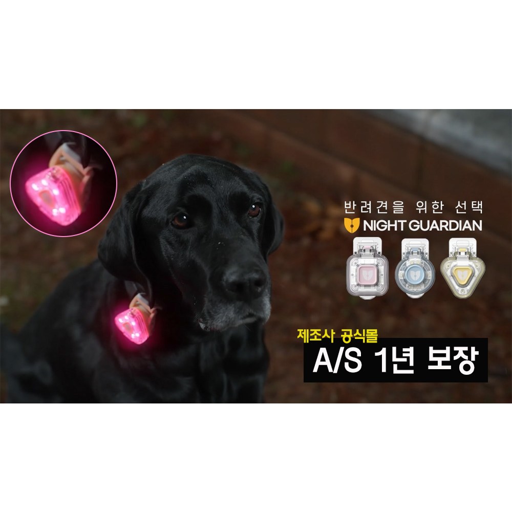 나이트가디언P 반려견 야간 산책 LED 야광 목걸이 클립형 USB 펜던트 방수 후레쉬 강아지 멍멍이 59,000원