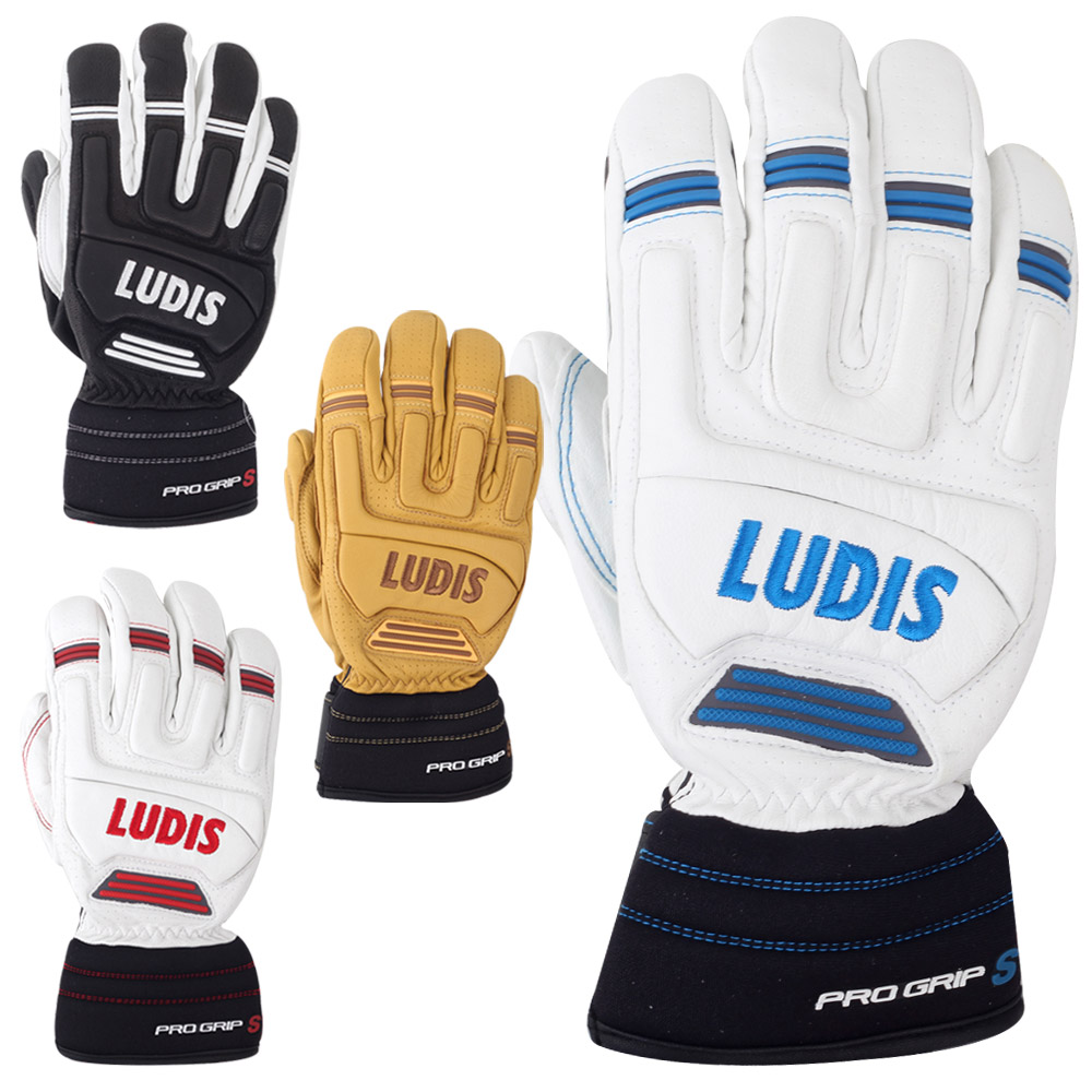 19/20 루디스 스키장갑 PRO GRIP S, WT+RD (L), 1개 112,500원