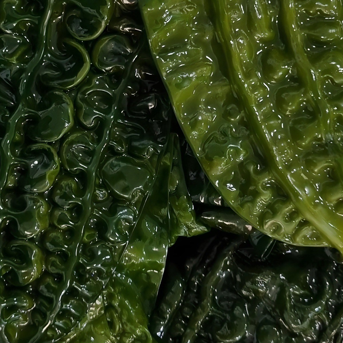 [삼화해조류] 완도 곰피 쇠미역 4kg 14,900원