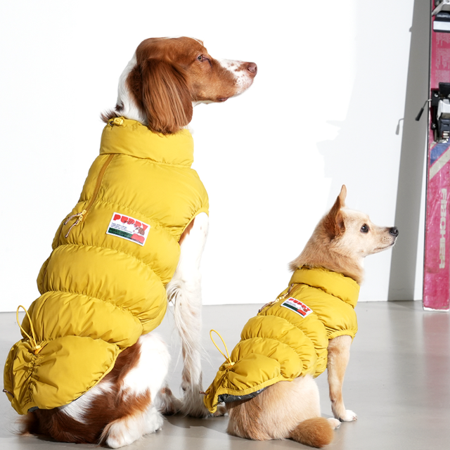 (M-5XL) 퍼피갤러리 키로로 클라우드 강아지 패딩 대형견옷 제라미펫 54,000원
