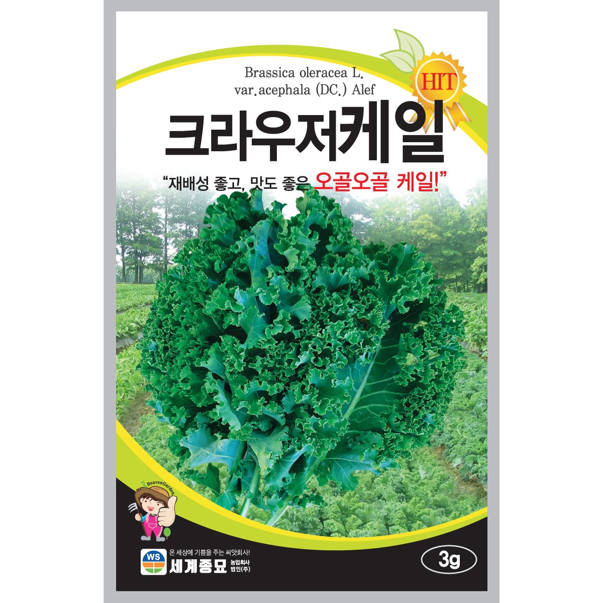 세계종묘 크라우저케일 씨앗 3g, 1개 3,980원