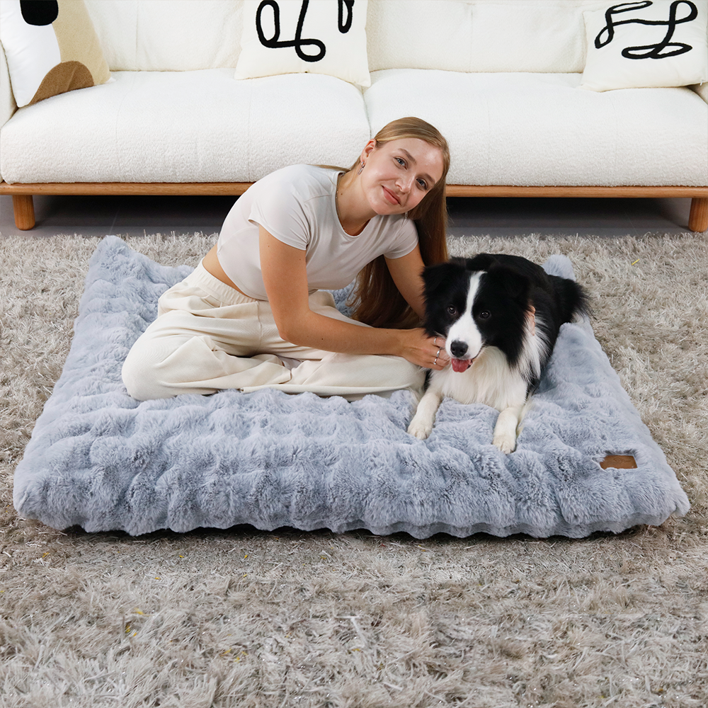 BingoPaw 강아지 방석 M-4XL 폭신 방석 하우스 방석 사각벙석 와플방석 커버분리 그레이, 그레이(GY), 1개 58,980원