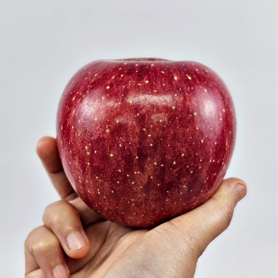 맑은마켓 재구매율1위 원조품종 햇 부사 사과 22,100원