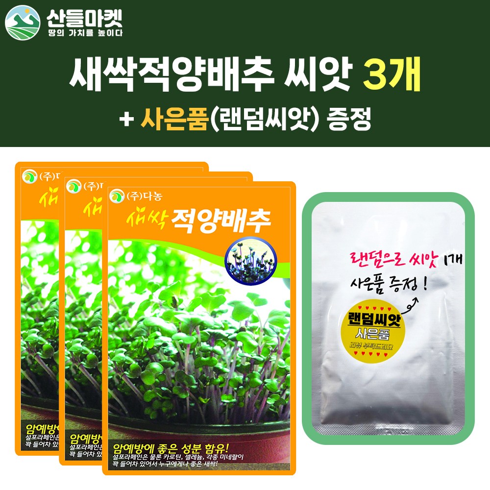 산들마켓 새싹적양배추 씨앗 30g 새싹 적색 양배추씨 종자 3개+랜덤씨앗1개 증정 11,300원