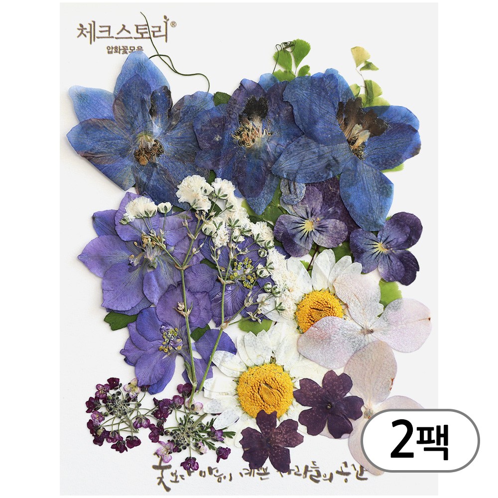 체크스토리 압화 컬러믹스 꽃모음 압화공예 2팩 19,800원