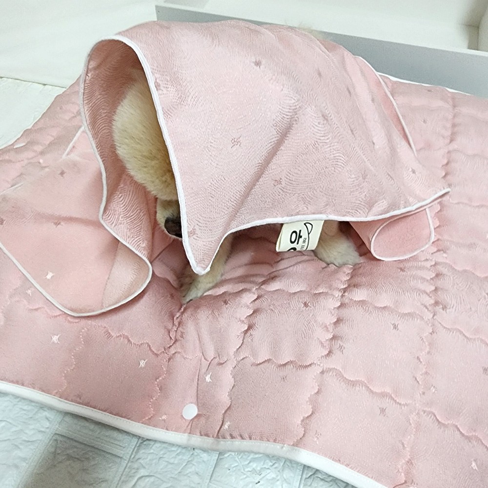 해피앤퍼피 강아지쿨매트 원터치 세탁방석 13,900원