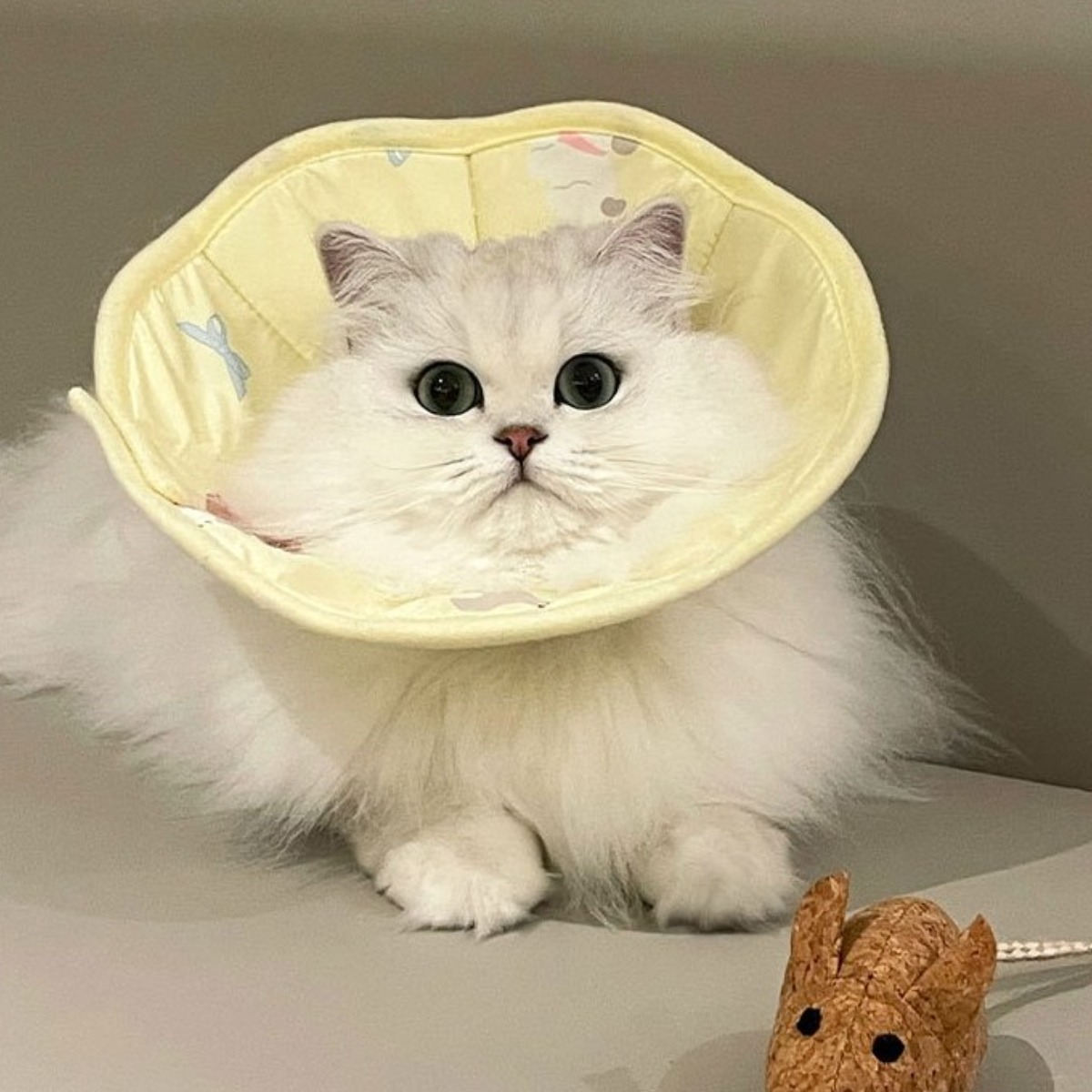 넥카라 강아지 고양이 목쿠션 엘리자베스 반려동물 반려동물 엘리자베스 링 고양이 수술 후 핥기 방지 및 물림 방지 헤드커버 강아지 목줄, 1개, 누런 강아지 15,270원