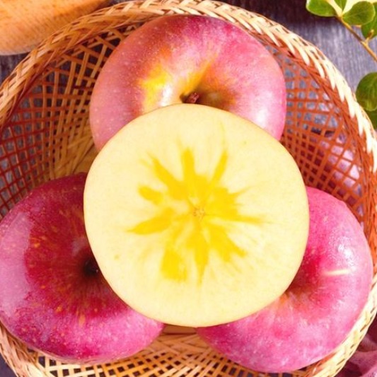 [가격파괴]특급당도 산지직송 국내산 아삭달콤 못난이사과, 1박스, 10kg 33,900원