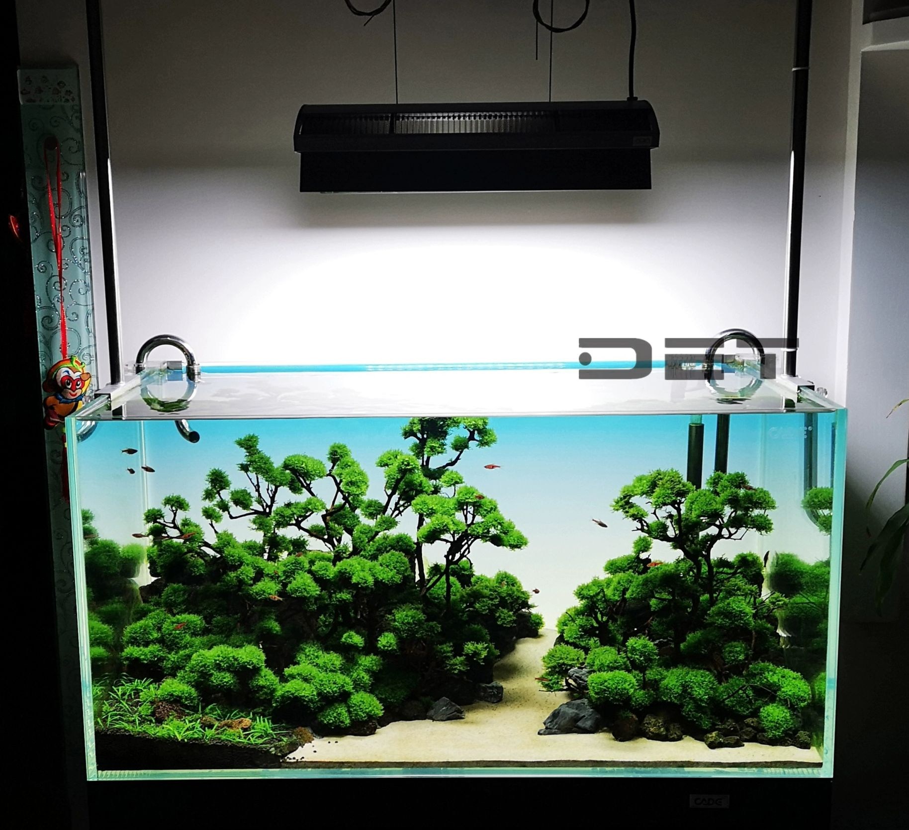 DET 라이트 백스크린 사이즈 산호 색상조절 변환 616,400원