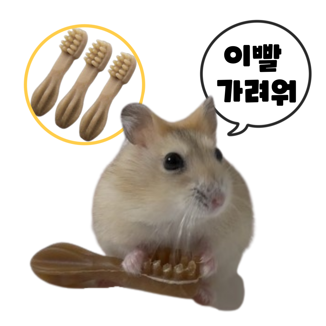 (best상품) 햄스터 이갈이 덴탈츄 비건 간식 인기만점!! 옐로우 3,850원