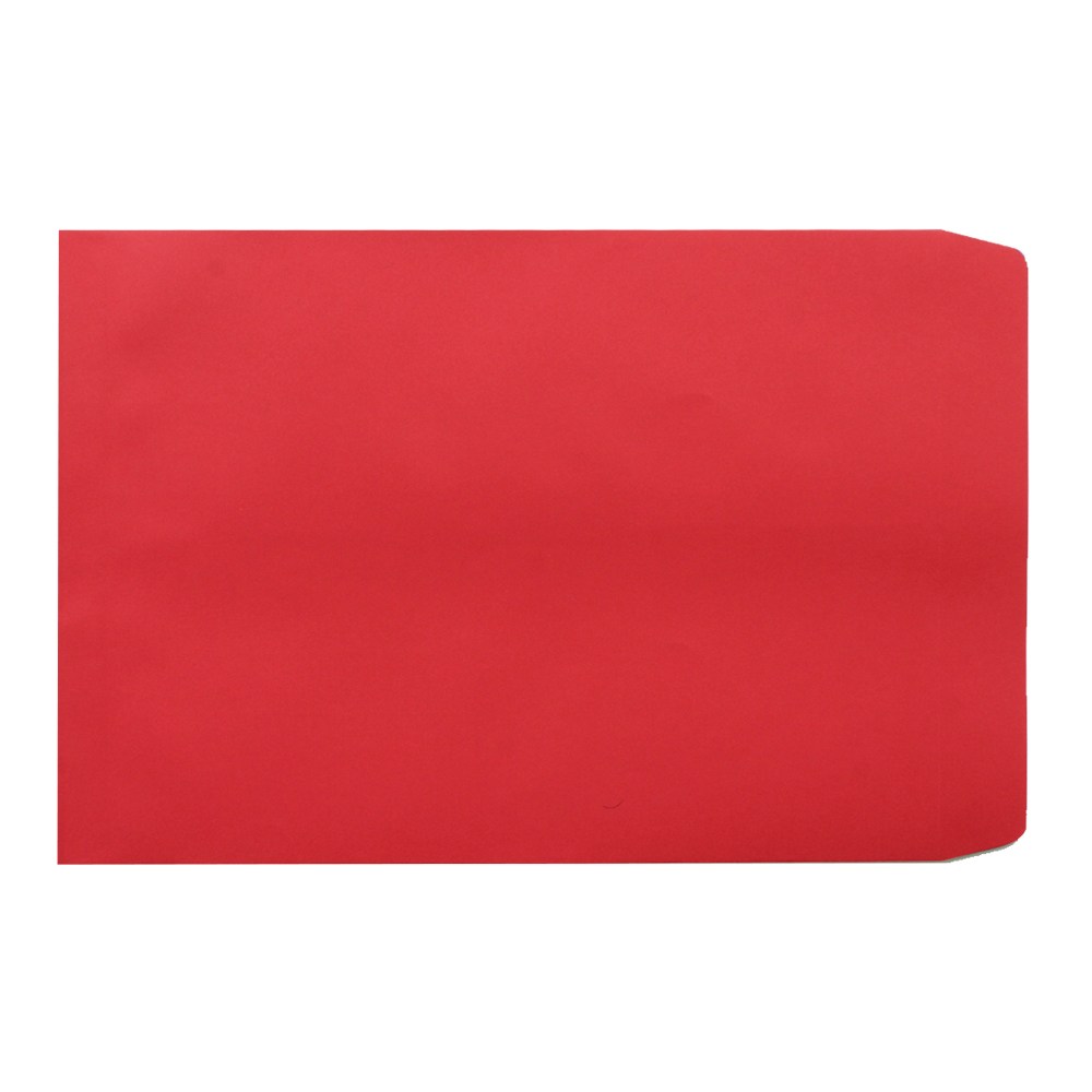 페이퍼포레스트 각대봉투 컬러 A4 레드 50매 우편 서류 245x330 39,000원