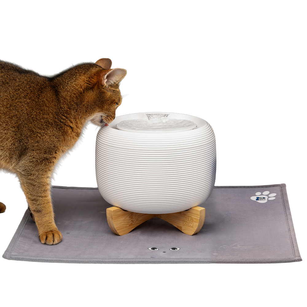 페키움 고양이 강아지 정수기 자동 급수기 저소음 올인원 세트, 1세트 69,900원