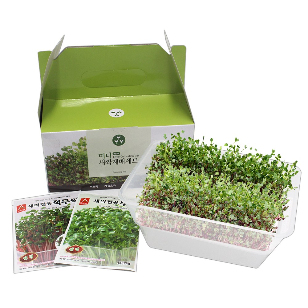 슬로시 키우기 좋은 새싹재배용기 세트 어린이집 유치원 교육용 새싹재배기세트 6,800원