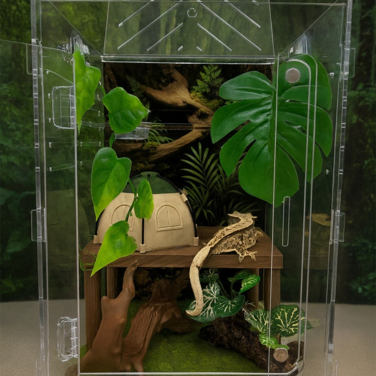 크레스티드 게코 도마뱀 비바리움 202030사육장 61,460원