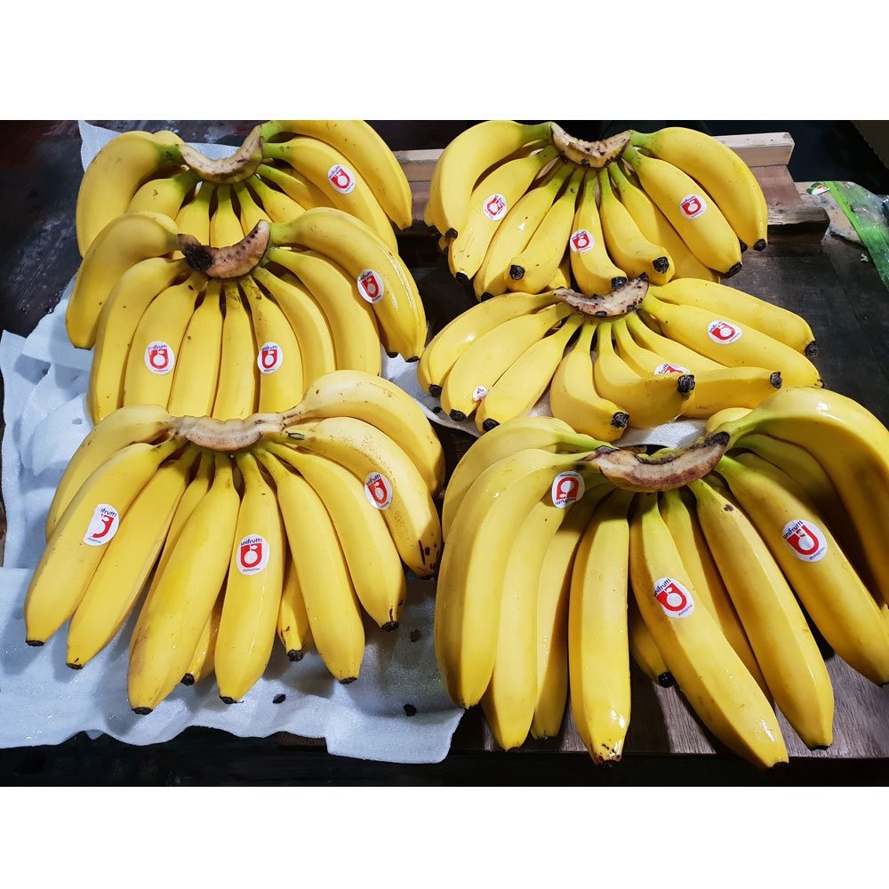 [제니네 제철과일] 베트남 유니프루티 바나나 대과 산지직송 2송이 3송이 6송이, 1개, 유니프루티 바나나 대과 2송이 4.2kg내외 19,400원