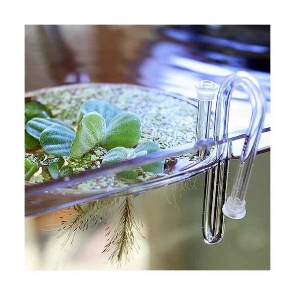 시내랑 부상 수초 홀더 105, 1개 6,650원