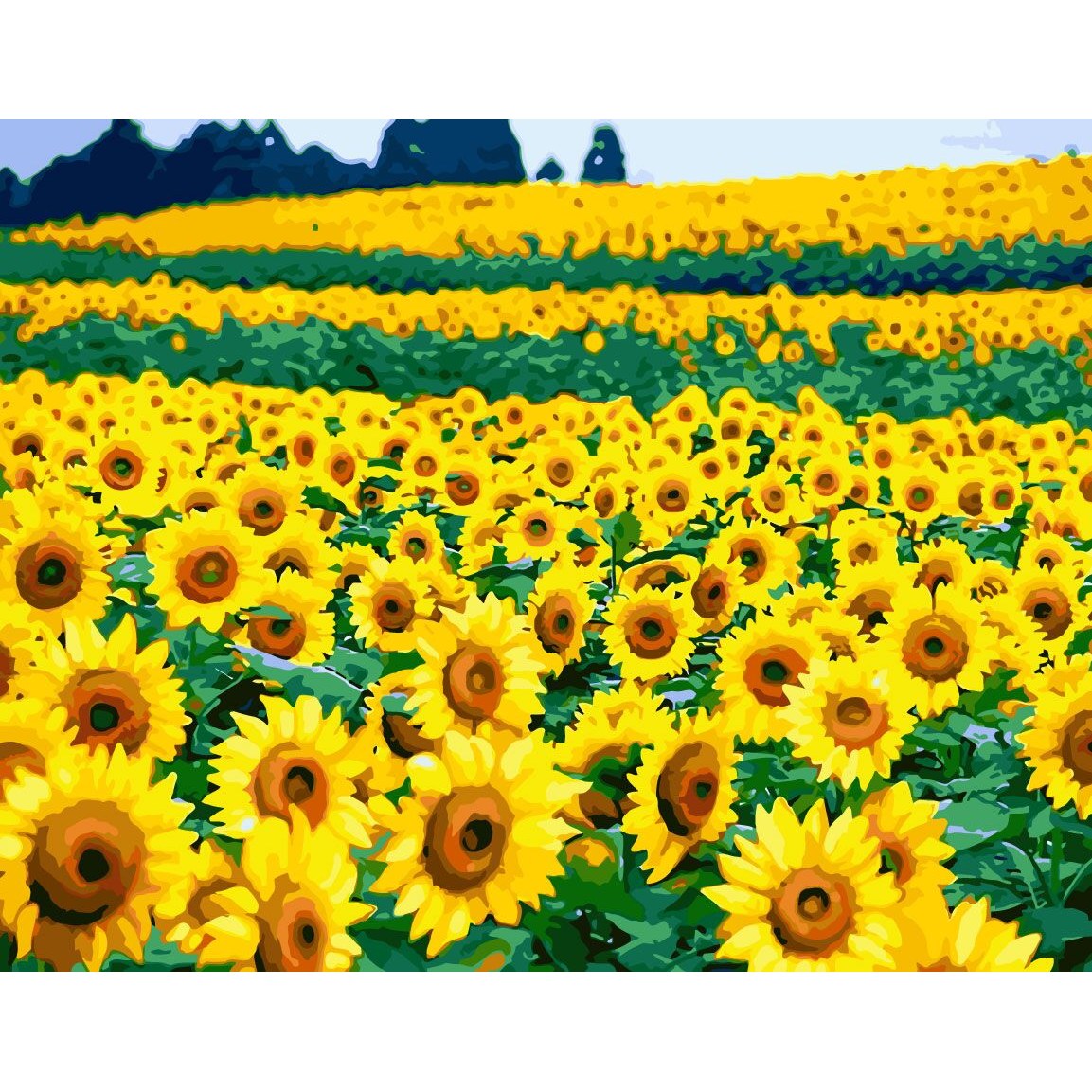 모모픽스페인팅 DIY명화그리기 60x75cm, WP10 해바라기 꽃밭, 1개 35,500원