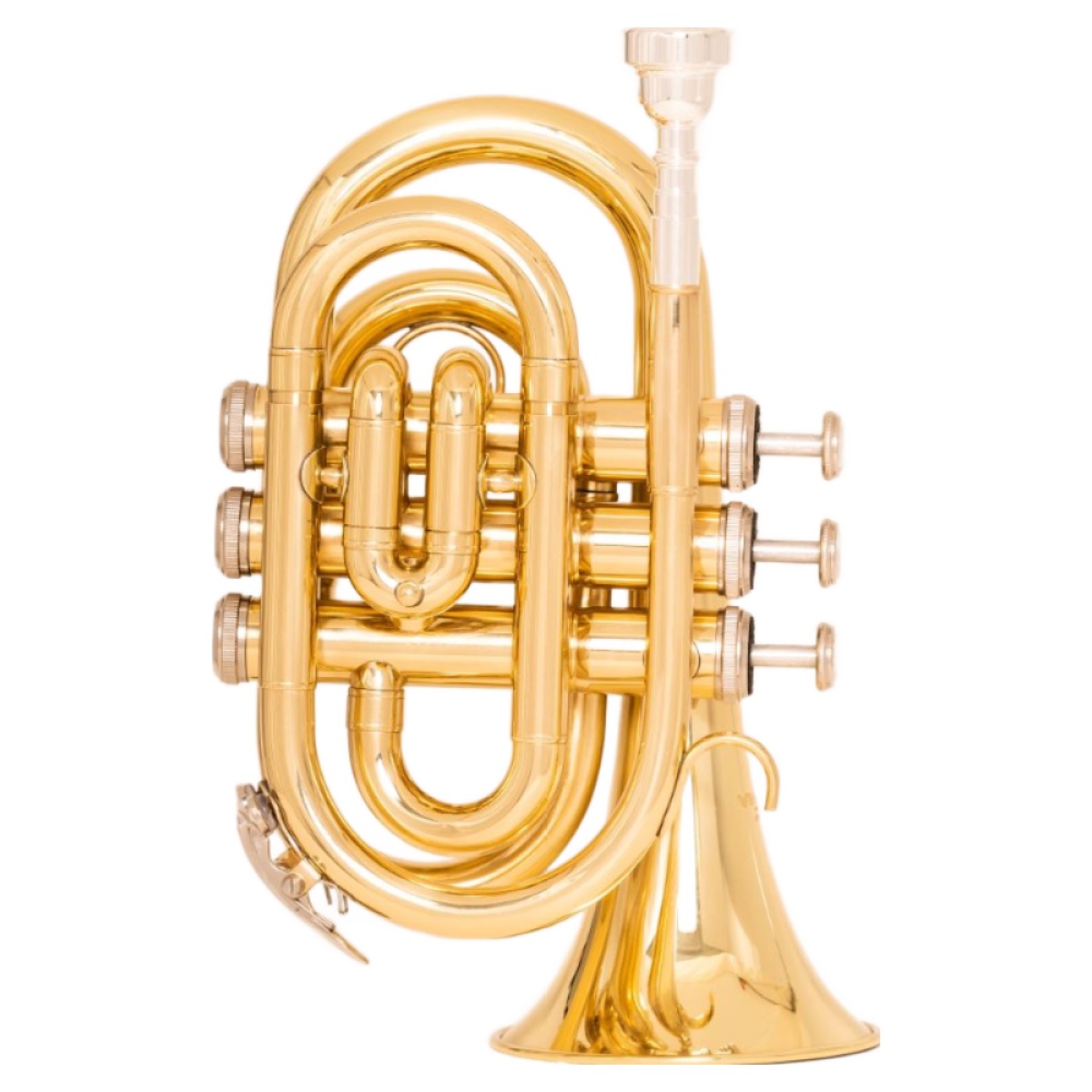 빈센트 트럼펫 VTP-200 시리즈, VTP-200PG(포켓), 1개 219,000원