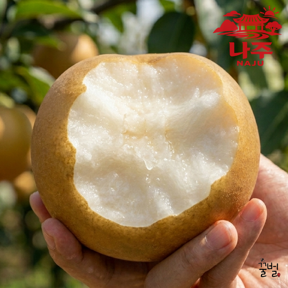 [하루20박스한정특가] 꿀Brix 초고당도 나주배 산지직송 신고배, 1박스, (상) 3KG 16,900원