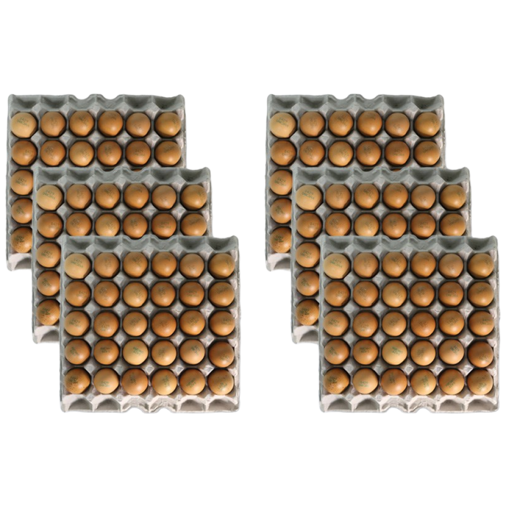 소문난맛집 1+1 구운계란 구운란 달걀 대란 HACCP인증 파손보상, 2개, 90구 52,460원