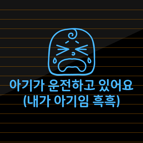 초보운전 스티커 재밌는 차량용 운전 차량 귀여운 12,000원