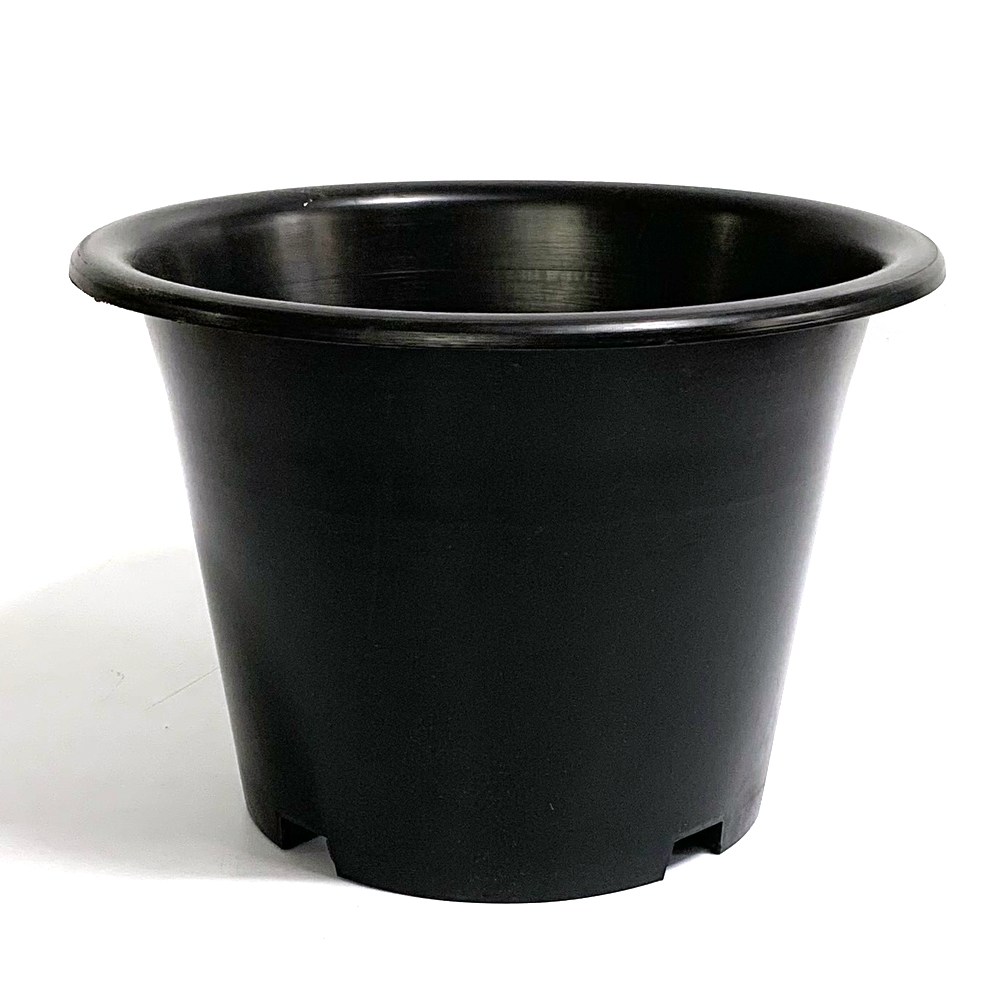 플라스틱화분 블루베리pp분260 분갈이흙 화분 2,500원