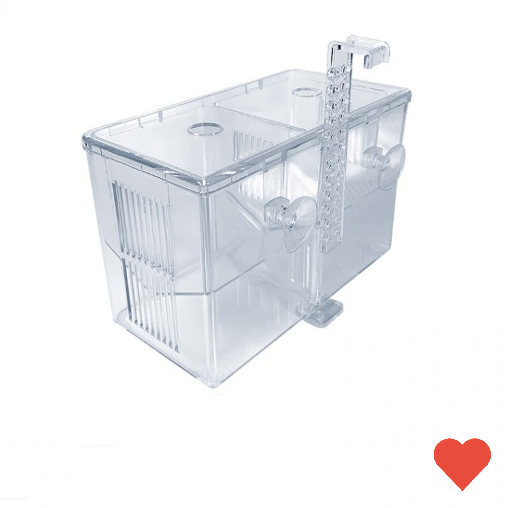 수족관 용품 걸이식 아크릴 구피 열대어 치어 투명 10,600원