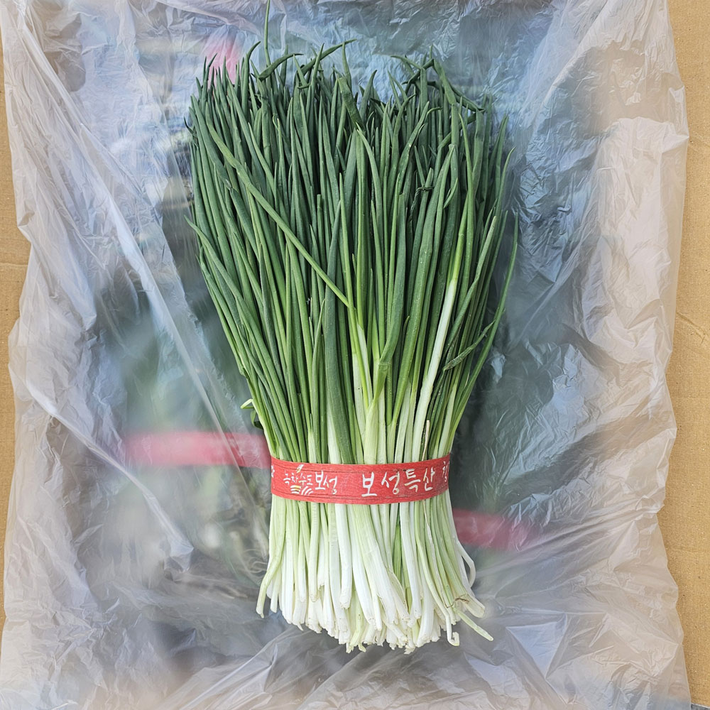 클릭마켓 최상급 해풍 맞은 보성 깐쪽파 1단 잔파 실파 69,500원