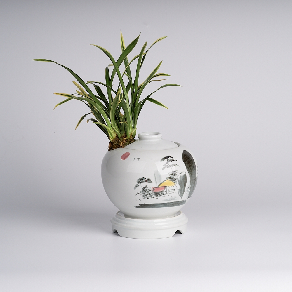 에코플라워 동양란 (대국 산수화 백자_25x32) 수도권배송 택배배송 사진전송 승진 영전 인사이동 진급 취임 개업 꽃배달 ds-0061, 1개 103,330원