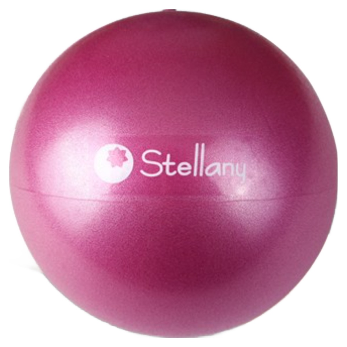스텔라니 바레 필라테스 미니볼 전문가용 12,560원