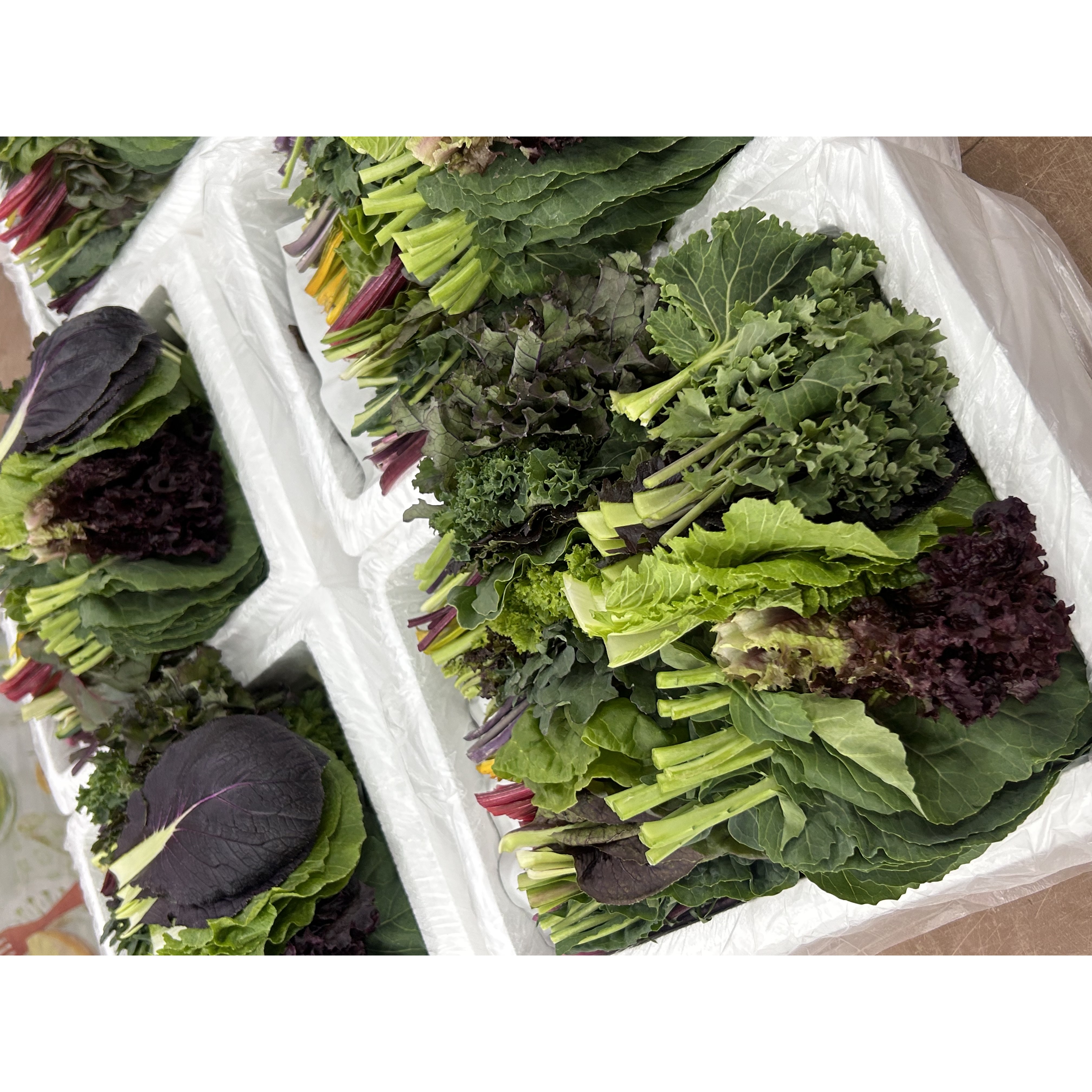 쌈채소모둠 20종 클로렐라 재배 | 양주농부 신선 샐러드채소 600g~1.2kg, 클로렐라쌈채소 1kg, 1박스 21,800원