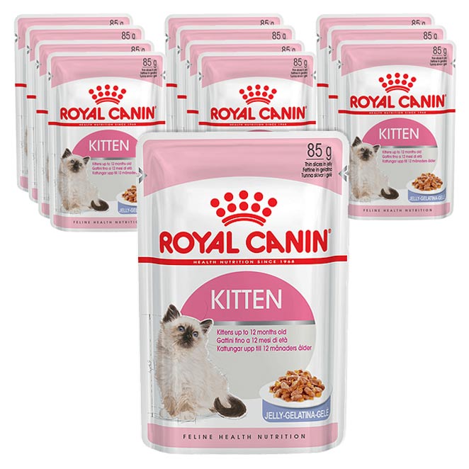 로얄캐닌 키튼 인스팅티브 젤리 파우치 습식사료, 85g, 12개 20,420원