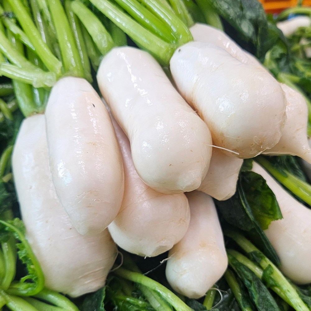 [한입에반함] 국내산 알타리절임 알타리무 손질 세척 김장 절임김치 소량 대량 선택가능, 1박스, 5kg 33,900원