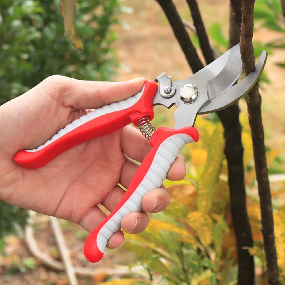 [플러스리빙] 나무 전지 가위 다목적 철판 원예전지 원예 옐로우 탄소강 전지가위 스테인레스 안전장치 전지가위 빨간색손잡이 6,900원