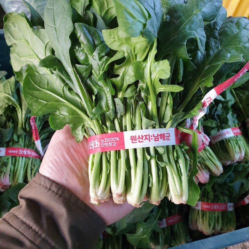 [바다1km] 달큰하고 부드러운 남해 시금치 포항초 최상품 24,890원