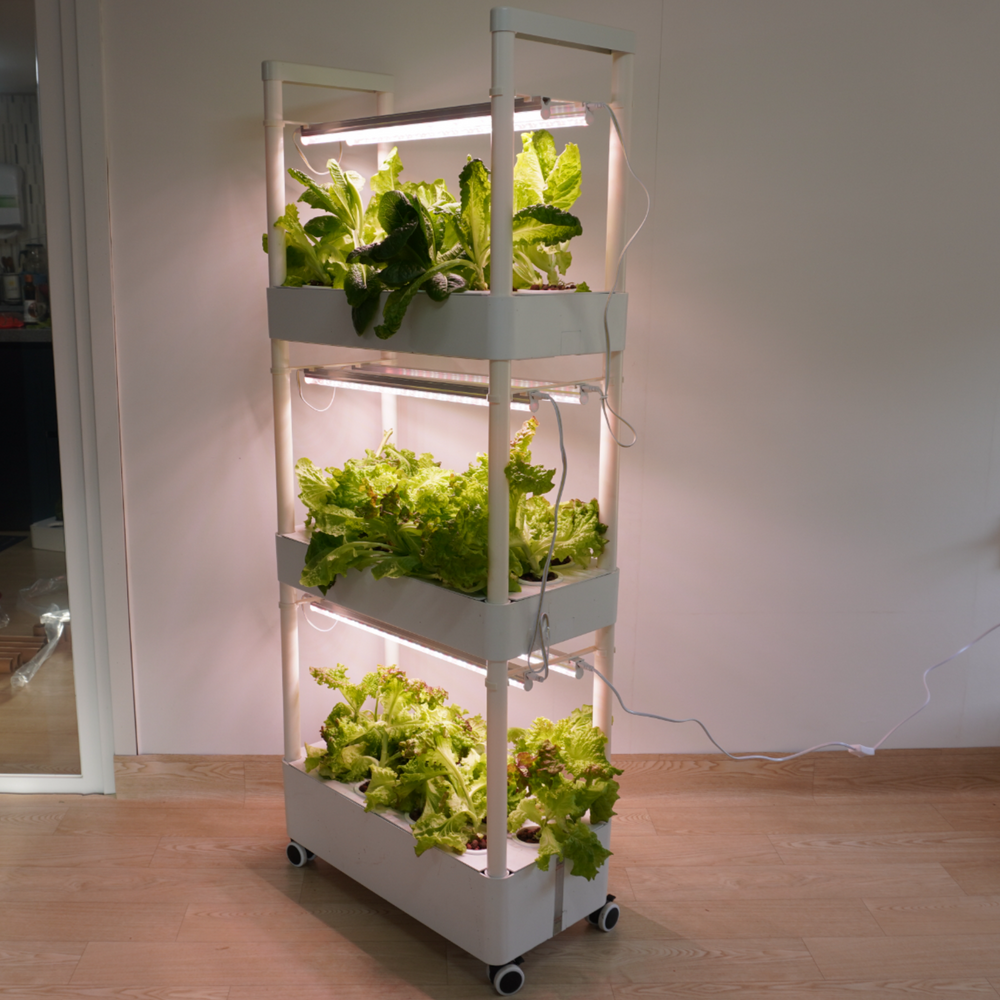 식물재배기 수경 재배기 가정용 실내 스마트팜 채소 야채 재배 상추 키우기 3단 250,900원