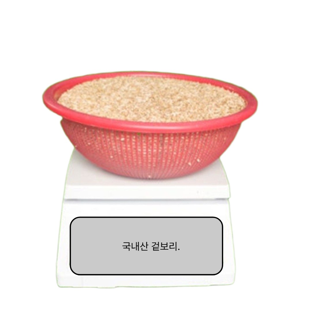 새싹 보리 종자 씨앗 집에서 키우기 배란다 텃밭 3kg, 1개 16,900원