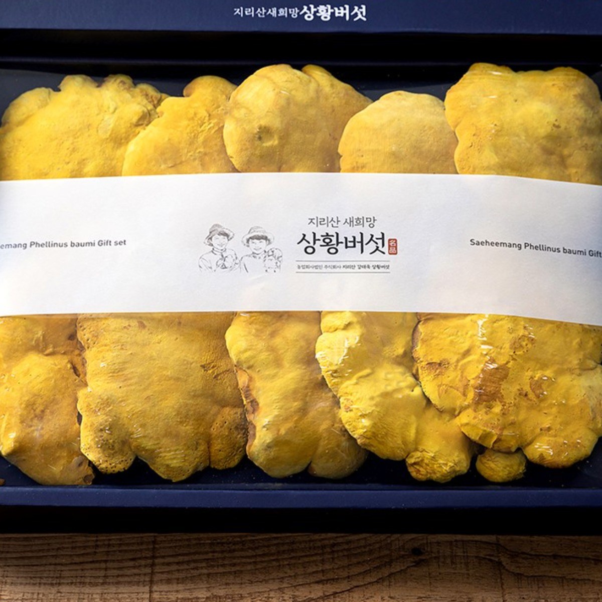유기농 지리산 장수상황버섯 250g, 300g 선물세트 친환경 국산 국내산 6시내고향 새희망농원 133,000원