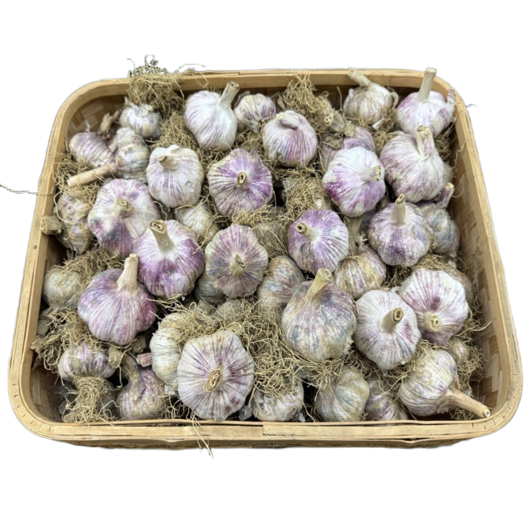 [자연바구니] 25년산 햇마늘 대서마늘, 1개, 1개, 대서마늘 (5kg) 대 39,100원