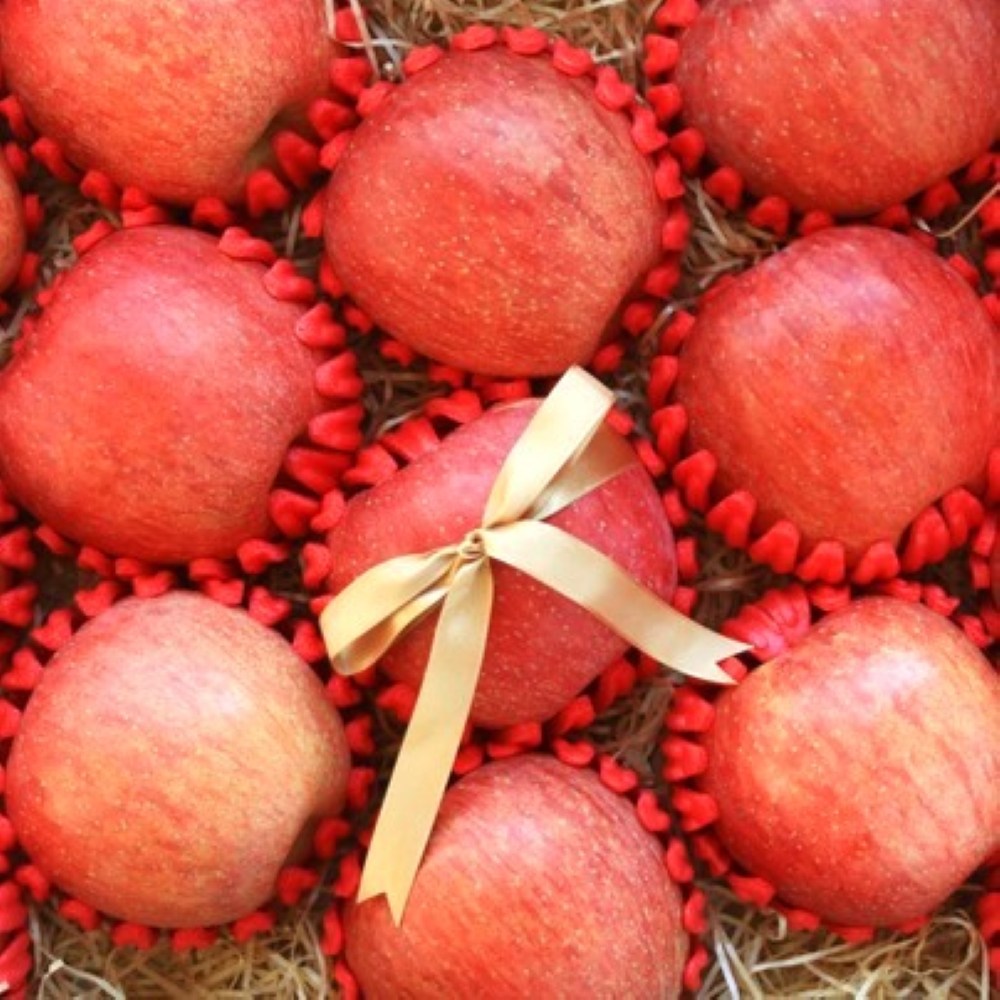안동 꿀사과 정성담은 명품 프리미엄 홍로 사과 선물세트 당도최고 41,900원