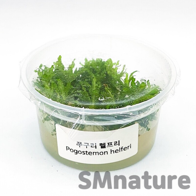 SM 쭈구리 헬프리 [컵수초] 8,000원