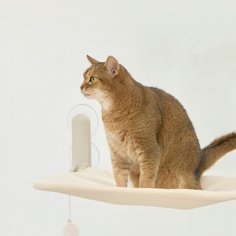 세이펫 창문캣타워 / 윈도우캣타워 18,900원