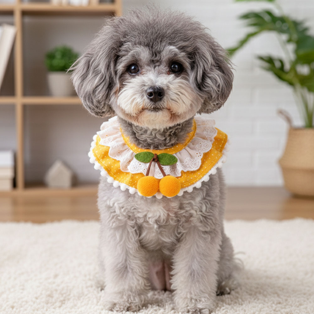 하니펫 반려동물 귀요미스카프 포인트체리프릴, 1개, 노랑 6,900원